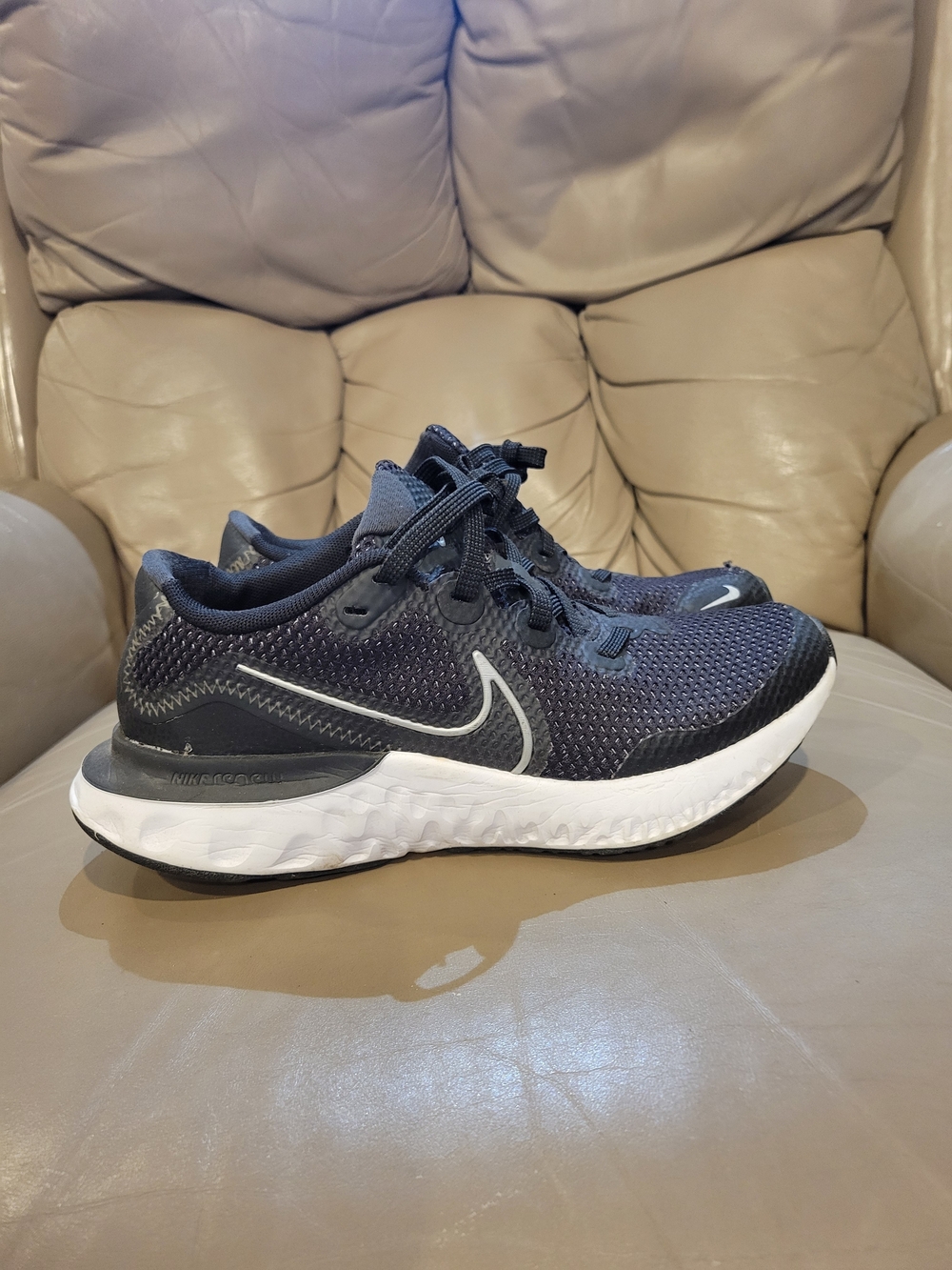 Nike Renew Run Shoes